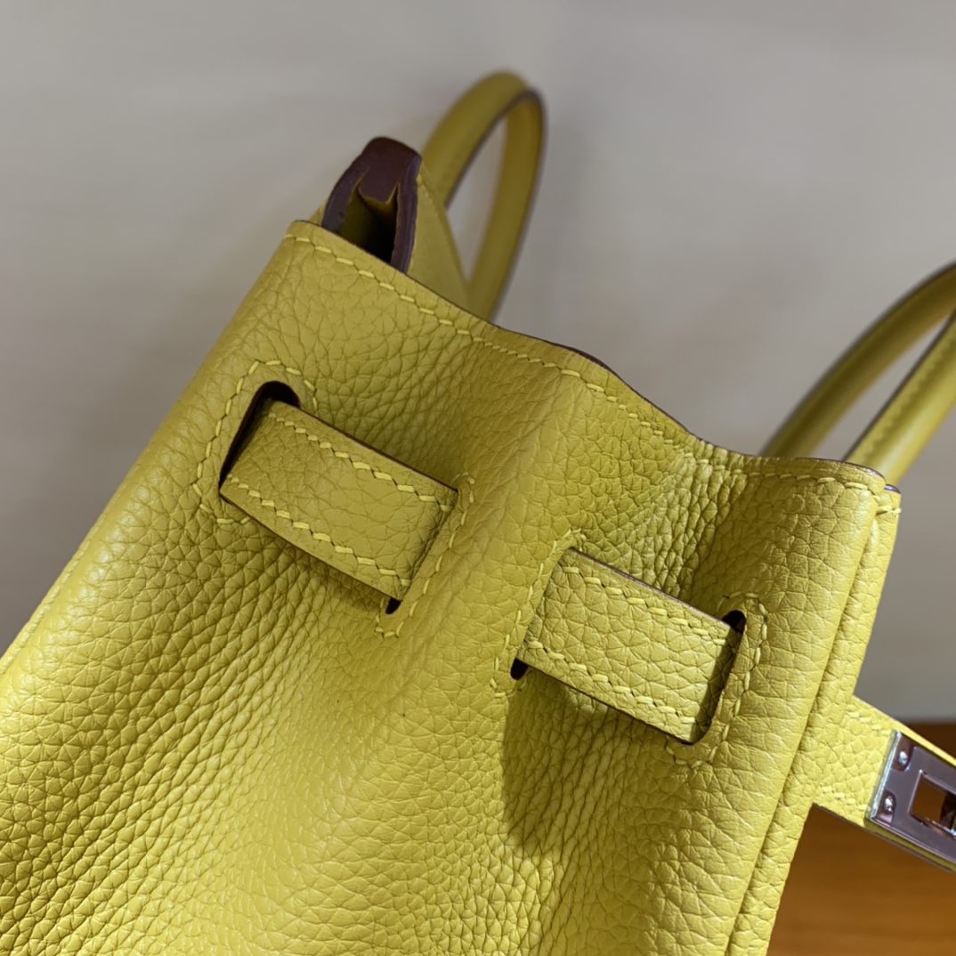 Birkin/Birkin-25cm-togo-Amber-Yellow-SHW-2/img_007