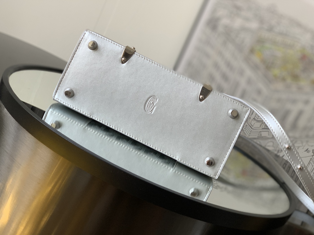 Goyard/Saigon-Limited-Edition-15x7.5cm-Silver/img_004